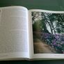 The gardens of Ireland Image 9