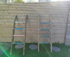 2 x Jungle Gym Ladders