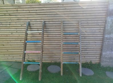 2 x Jungle Gym Ladders