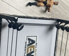 wrestling ring and figures