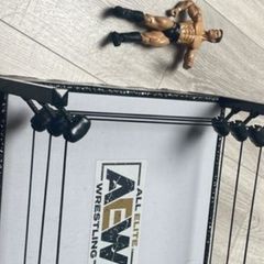 wrestling ring and figures