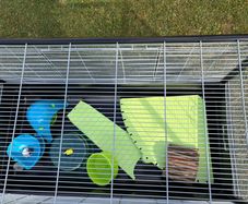 Large pet cage