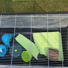 Large pet cage
