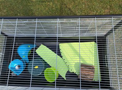 Large pet cage