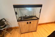 Fish Tank / Aquarium
