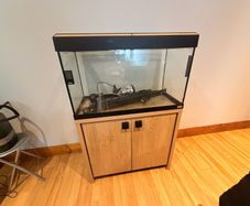 Fish Tank / Aquarium