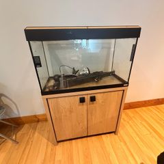 Fish Tank / Aquarium