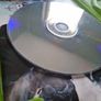 Tom Clancy s Rainbow Six 3 Black Arrow xbox Original games Original Image 10
