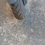 mi scooter Image 2
