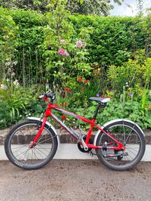 Islabikes Beinn 20
