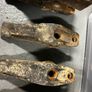 Digging bucket teeth Image 3