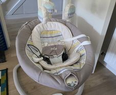 joie serina swing