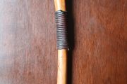 Walking stick