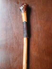 Walking stick