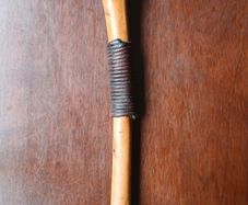 Walking stick