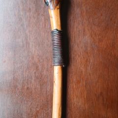 Walking stick