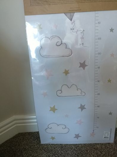 Girls bedroom wall height chart