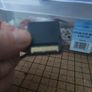 Nintendogs Dalmatian & Friends-Nintendo DS -No Case- Tested! Image 2