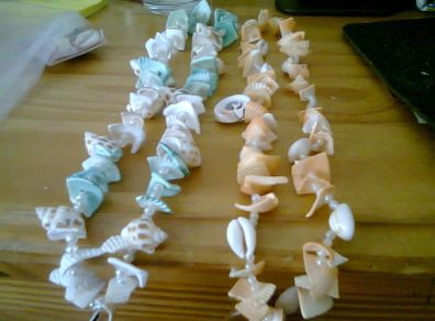 seashell sea snail necklace