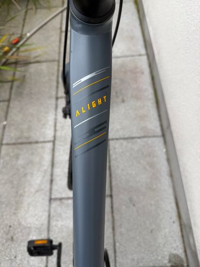 Liv Alight bike in size S
