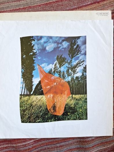 Vinyl Pink Floyd Wish You Were Here