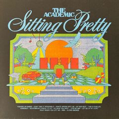 The Academic - Sitting Pretty. Limited edition orange vinyl. Printed inner sleeve. Immaculate. Played just once.
