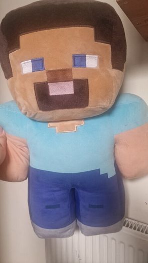 toy