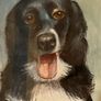 Pastel Dog Painting by Donald Pass Image 3