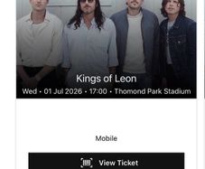 Kings of Leon Limerick July 1st- Front Standing
