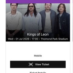 Kings of Leon Limerick July 1st- Front Standing