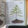 The Complete Book Of Bonsai Plus The New Gardner. And The Countru Diary Book Of Flowers. 3 Large Volume Hardback With Dustjacket In Good Condition.  See Photos For Same. Image 5