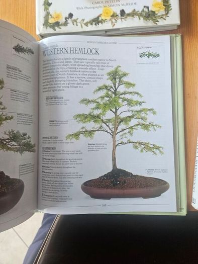 The Complete Book Of Bonsai Plus The New Gardner. And The Countru Diary Book Of Flowers. 3 Large Volume Hardback With Dustjacket In Good Condition.  See Photos For Same.