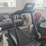 treadmill Image 2
