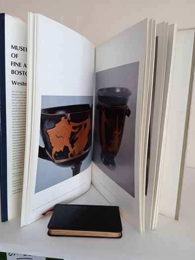 Museum of Fine Arts Boston: Western Art by Adolph S. Cavallo (RB107)