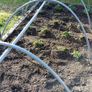 framing for plants Image 2
