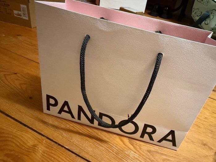 Pandora charm bracelet
