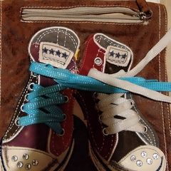Converse shoe bag