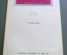 The influence of the Irish on the Catholic Church in America in the 19th century