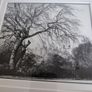 Framed Black And White Photo Print. Image 2