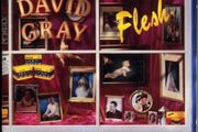 David Gray - Flesh    CD