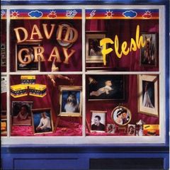 David Gray - Flesh    CD