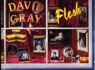 David Gray - Flesh    CD