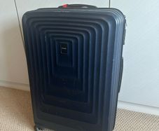 Large (20kg) suitcase