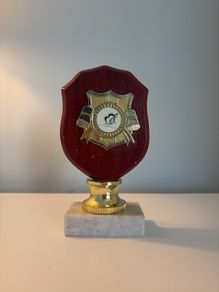 Wooden trophy
