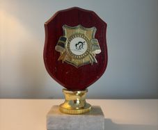 Wooden trophy