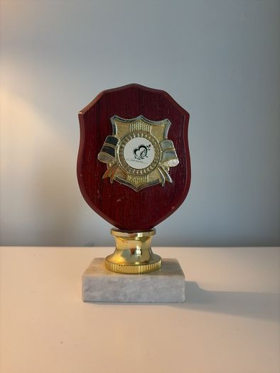 Wooden trophy