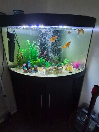 300l corner fish tank