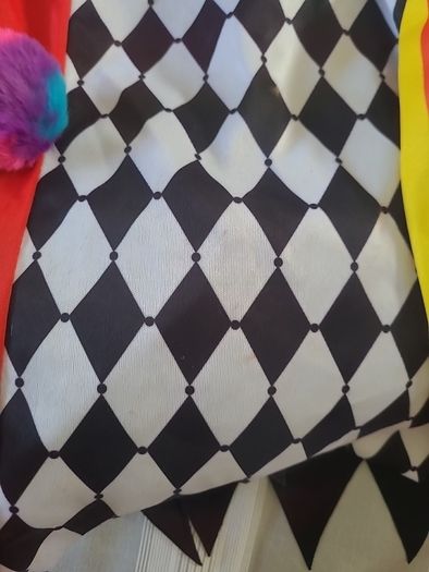Clown Costume