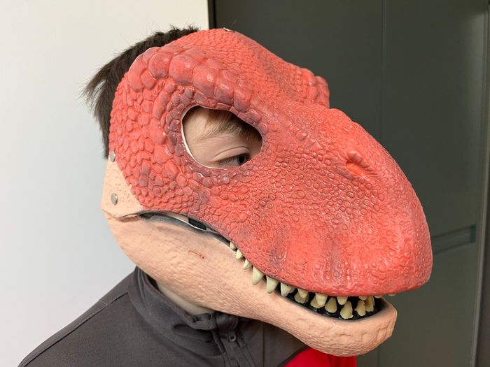 Dinosaur mask