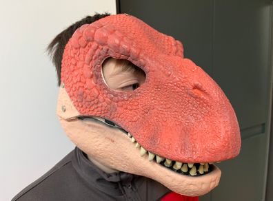 Dinosaur mask